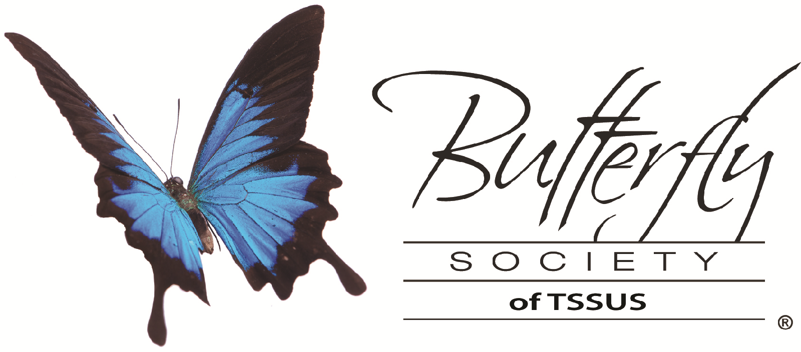 ButterflySocietyLogoHoriz.png
