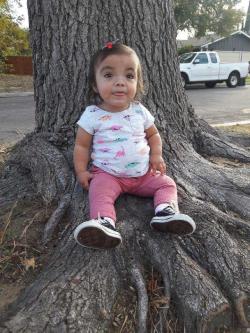 Fundraising Page Image